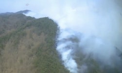 경북 영덕 축산면 산불…200여명 동원돼 2시간 30여분만에 진화