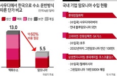 암모니아 선점루트 뚫어라...글로벌 기업 ‘파트너’ 찾는중 [헤럴드 뷰]
