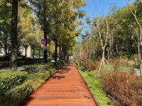 강남구, 양재천 ‘걷고 싶은 거리’ 시즌2 탄생