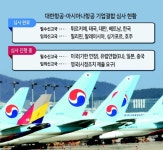 대한항공-아시아나항공 합병 지연되나