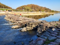 용보다 큰 지네, 농다리 신비..진천-증평 건강여행①