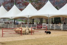 좌구산~보강천~벨포레 활력..증평-진천 건강여행②