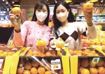 롯데슈퍼 “제주 감귤 드시고 농가도 살리고”
