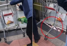 [영상] 쇼핑카트 낀 지하철서 스파크…노인은 배추 챙겨 떠났다