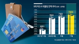 “카드론·리볼빙 총부채 연봉보다 많아요”...카드빚 ‘시한폭탄’