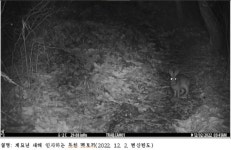주변 살피는 멧토끼 등 국립공원 야생동물 영상 공개