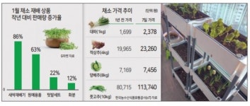 “차라리 자급자족” 채소값 부담에 ‘베란다 농장’ 늘어난다