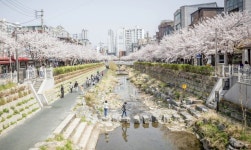 성북구, 50억원 투자해 성북천 고품격 힐링 상권으로 만든다