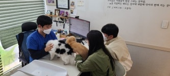 성동구, 취약계층 반려동물 의료비 지원