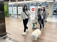 “댕댕아 비행기 타보니 어때?” 반려 항공기 제주 착륙