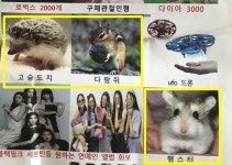 학원등록하면 다람쥐 드려요…동물 사은품 논란