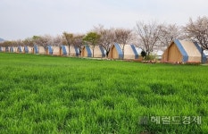 순천만정원박람회 히트상품 ‘가든스테이,쉴랑게’ 예약 물밀 듯
