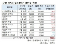 ‘대세’ 2차전지株엔 ‘2년차 징크스’도 없다…작년 공모가 대비 최대 250%↑ [투자360]