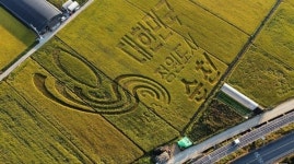 농업 새 패러다임 경관·발효농업, 순천을 디자인하다