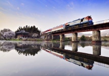 알파카 목장길 따라 거닐며, 사랑 키우는 곳 [함영훈의 멋·맛·쉼]