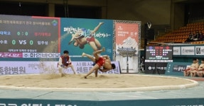 제1회 보성 전국장사씨름대회 3일 간 열전 펼친다