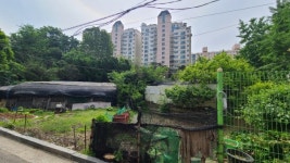강남 한복판에 분교라고요? 두메산골의 분교 강남에 등장한 사연 [부동산360]