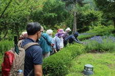 국립자연휴양림, 숲속 여행 프로그램 운영