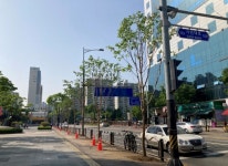 안양시, 안전사고 예방 위해 이팝나무 가로수길 조성