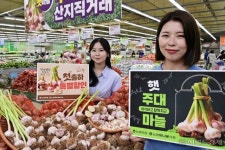 [헤럴드pic] ‘햇 주대마늘 맛보세요…’