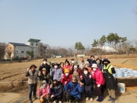 강동구 암사역사공원에 유채꽃 만발