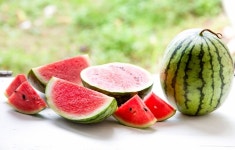 “공무원끼리만 수박먹고” 민원글에…시청 게시판엔 “힘내세요”