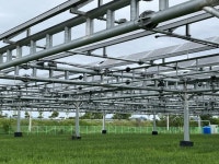 “돈 벌고 좋은데, 태양광 설치할 데가 없어?” 드넓은 논밭을 주목했다 [지구, 뭐래]