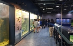 환경과학원 한강 물속 생물 알아보고 진로체험 하세요