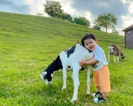 태백 철암 갔다, 물닭갈비 먹고, 몽토랑 가는 이유 [함영훈의 멋·맛·쉼]