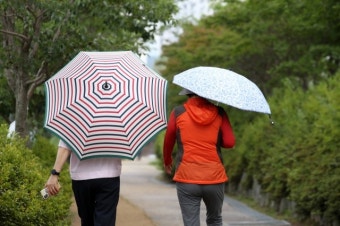 내일도 장마는 주춤…제주·남해안은 밤사이 비