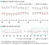 민주당 지지율 29%…尹정부 출범 이래 최저 수준[한국갤럽]