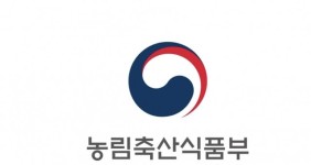 서울 관악구 보호소 고양이, 고병원성 AI 감염 의심