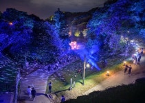 공산성·수원화성,고창고인돌 미디어아트로 빛난다