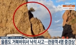 [영상] ‘낙석경고’ 400t 울릉도 거북바위 와르르…캠핑족·관광객 4명 중경상