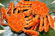 이번 주말엔 킹크랩?...러시아산 kg 당 7만원 뚝