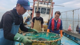국감 증인석에 선 이주노동자 6년간 비닐하우스에서 살았다