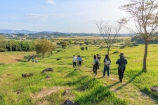 돌멘 돌무덤 유럽까지..마음 웅장해지는 고창 고인돌 [함영훈의 멋·맛·쉼]