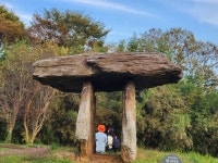 돌멘 돌무덤 유럽까지..마음 웅장해지는 고창 고인돌 [함영훈의 멋·맛·쉼]