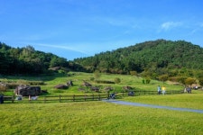 돌멘 돌무덤 유럽까지..마음 웅장해지는 고창 고인돌 [함영훈의 멋·맛·쉼]