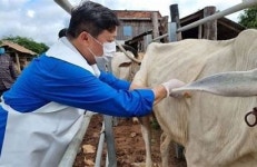 전북 고창 한우농가 럼피스킨병 신고…“1차 검사 양성”