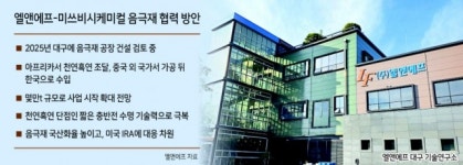 엘앤에프, 2025년 음극재 국내생산