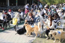 관악구, 11일 ‘동물과의 공존 한마당’ 반려동물 축제