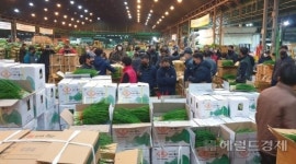 가락시장에 2030년까지 국내 최대 지열설비 설치 들어온다