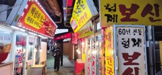 폐업 개농장 주인 “돼지로 바꿨어요”