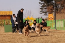 대구 달서구, 지역 최초 도심형 반려견 놀이터 개장