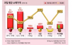 장바구니 물가마저 끌어올린 金과일