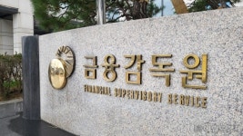 금감원, 업권별 금융감독 업무설명회 개최…감독방향 설명