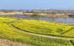 “경춘선 탈래?”→“라면 먹고 갈래? 설레는 4월 가볼 곳