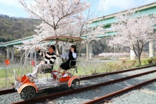 청도군, SNS 소통책임관 53명 지정…청도 홍보는 우리가 책임