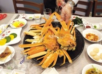 동해시 ‘감동해’ 일출과 함께 깨어나다